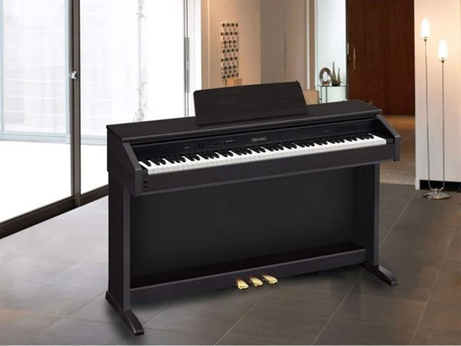 Music City – Tổng Kho Piano, Guitar, Organ | Dịch Vụ Giáo Dục Âm Nhạc