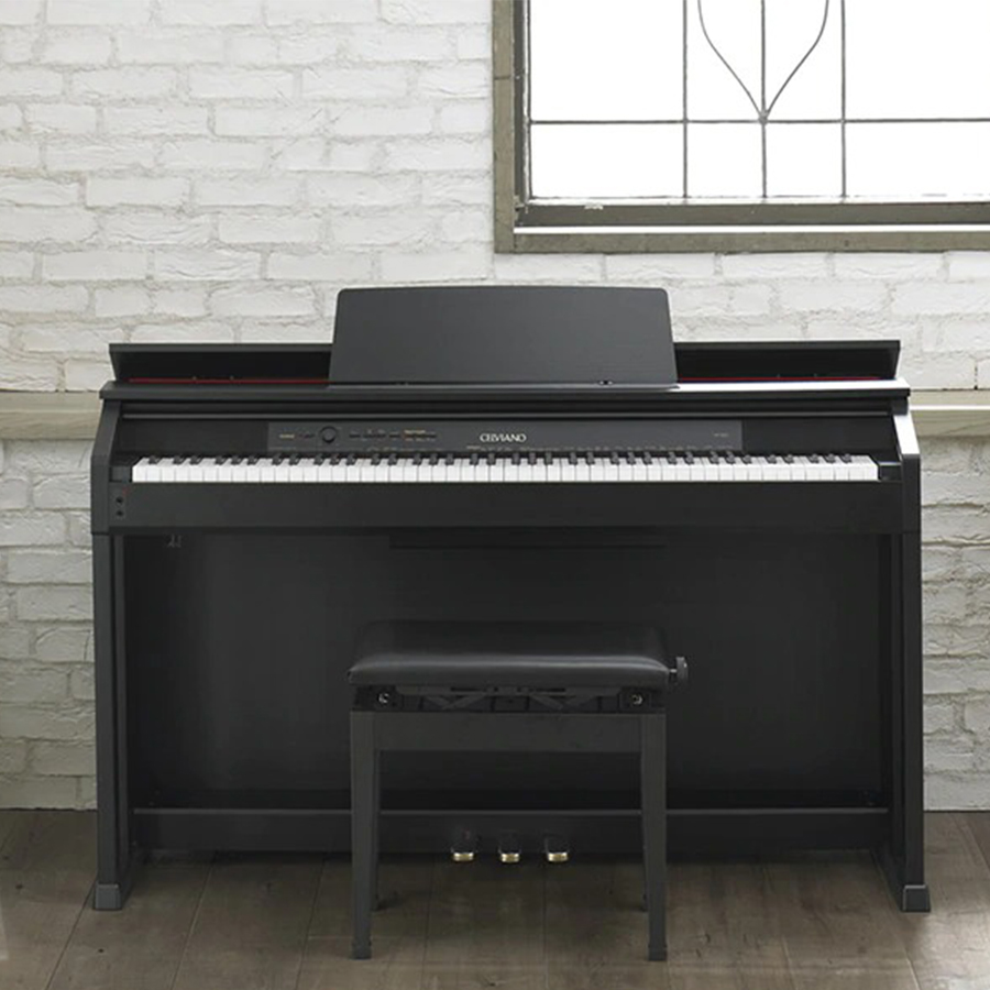 Music City – Tổng Kho Piano, Guitar, Organ | Dịch Vụ Giáo Dục Âm Nhạc