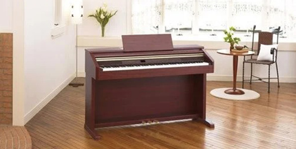 Music City – Tổng Kho Piano, Guitar, Organ | Dịch Vụ Giáo Dục Âm Nhạc