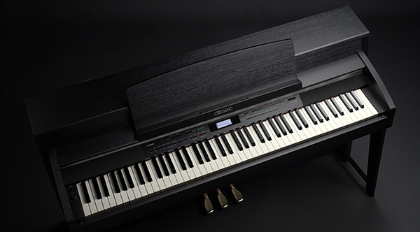 Music City – Tổng Kho Piano, Guitar, Organ | Dịch Vụ Giáo Dục Âm Nhạc