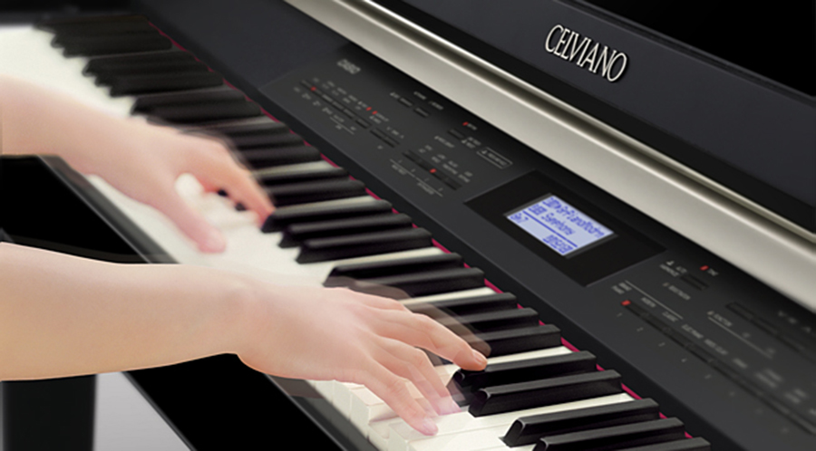Music City – Tổng Kho Piano, Guitar, Organ | Dịch Vụ Giáo Dục Âm Nhạc