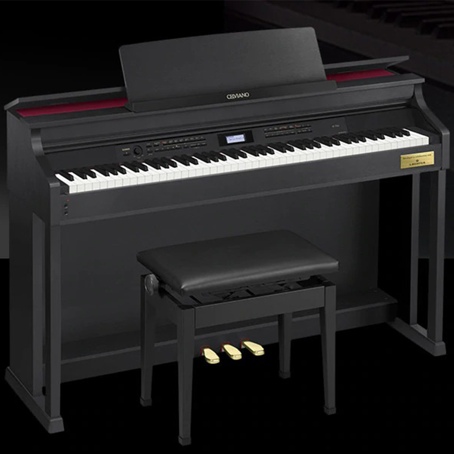 Music City – Tổng Kho Piano, Guitar, Organ | Dịch Vụ Giáo Dục Âm Nhạc