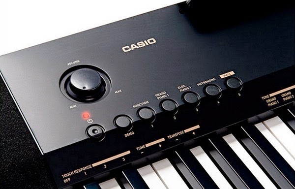 Music City – Tổng Kho Piano, Guitar, Organ | Dịch Vụ Giáo Dục Âm Nhạc