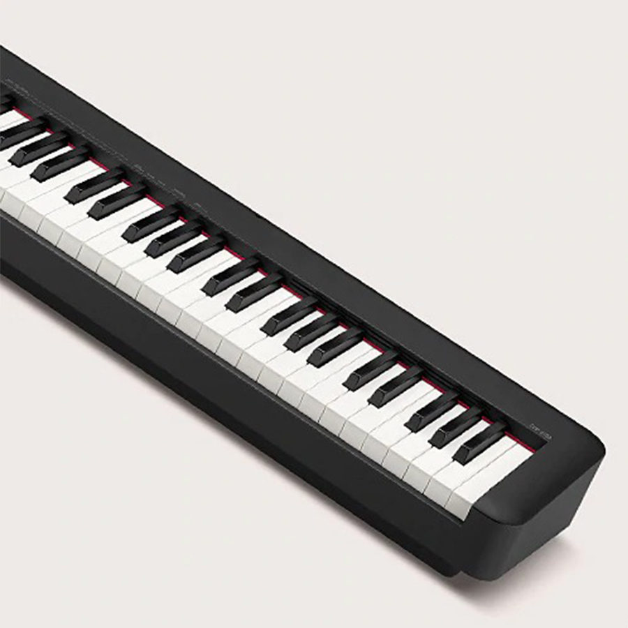 Music City – Tổng Kho Piano, Guitar, Organ | Dịch Vụ Giáo Dục Âm Nhạc