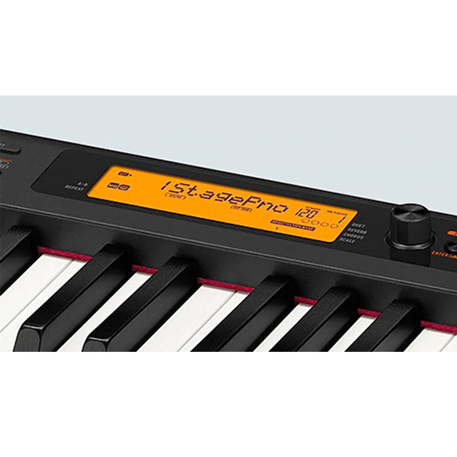 Music City – Tổng Kho Piano, Guitar, Organ | Dịch Vụ Giáo Dục Âm Nhạc