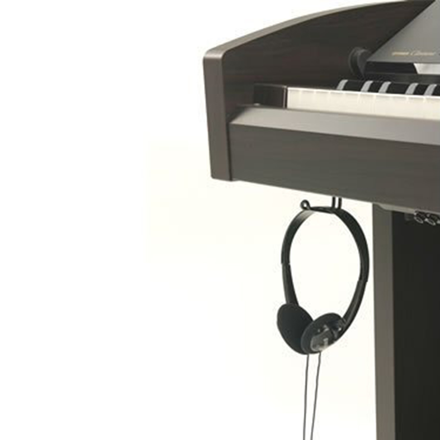 Music City – Tổng Kho Piano, Guitar, Organ | Dịch Vụ Giáo Dục Âm Nhạc