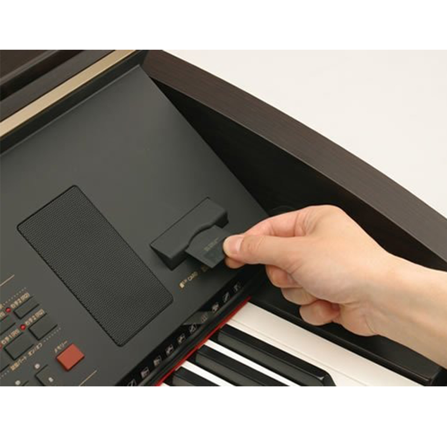Music City – Tổng Kho Piano, Guitar, Organ | Dịch Vụ Giáo Dục Âm Nhạc