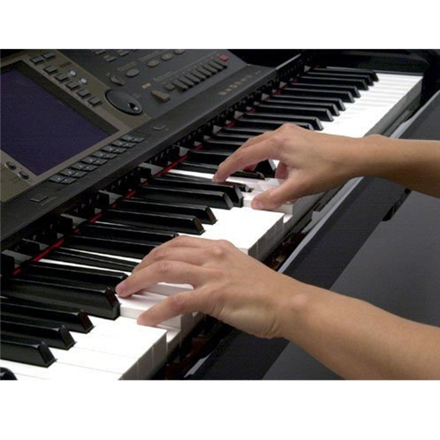 Music City – Tổng Kho Piano, Guitar, Organ | Dịch Vụ Giáo Dục Âm Nhạc