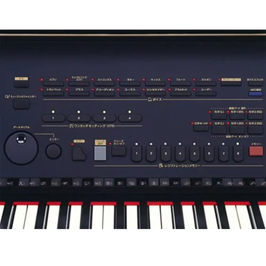 Music City – Tổng Kho Piano, Guitar, Organ | Dịch Vụ Giáo Dục Âm Nhạc