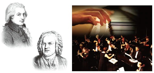Music City – Tổng Kho Piano, Guitar, Organ | Dịch Vụ Giáo Dục Âm Nhạc