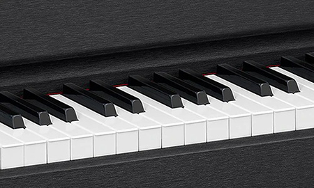 Music City – Tổng Kho Piano, Guitar, Organ | Dịch Vụ Giáo Dục Âm Nhạc