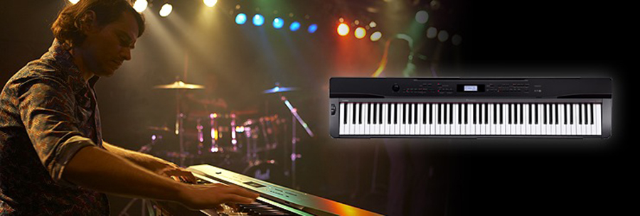 Music City – Tổng Kho Piano, Guitar, Organ | Dịch Vụ Giáo Dục Âm Nhạc