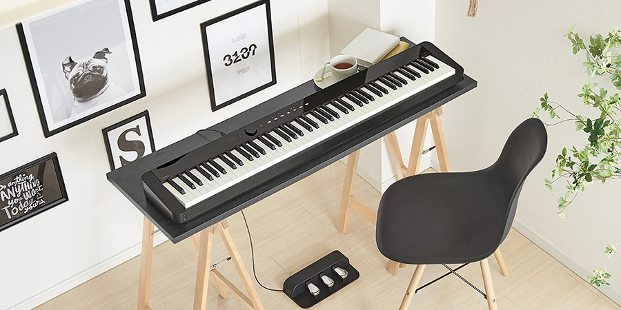 Music City – Tổng Kho Piano, Guitar, Organ | Dịch Vụ Giáo Dục Âm Nhạc