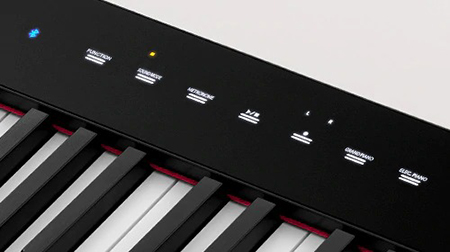 Music City – Tổng Kho Piano, Guitar, Organ | Dịch Vụ Giáo Dục Âm Nhạc