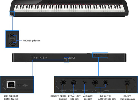 Music City – Tổng Kho Piano, Guitar, Organ | Dịch Vụ Giáo Dục Âm Nhạc