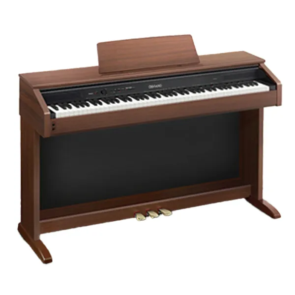 Music City – Tổng Kho Piano, Guitar, Organ | Dịch Vụ Giáo Dục Âm Nhạc