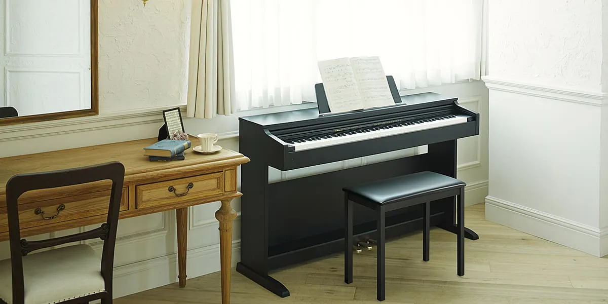 Music City – Tổng Kho Piano, Guitar, Organ | Dịch Vụ Giáo Dục Âm Nhạc