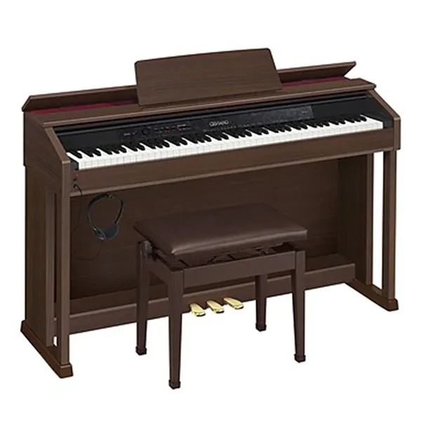 Music City – Tổng Kho Piano, Guitar, Organ | Dịch Vụ Giáo Dục Âm Nhạc