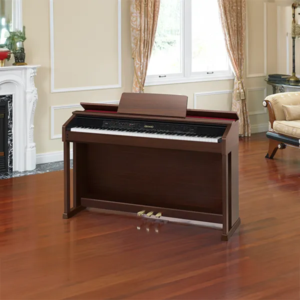 Music City – Tổng Kho Piano, Guitar, Organ | Dịch Vụ Giáo Dục Âm Nhạc