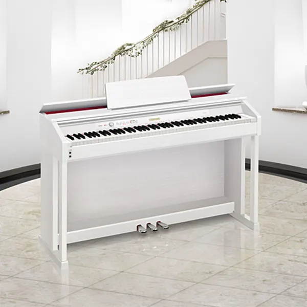 Music City – Tổng Kho Piano, Guitar, Organ | Dịch Vụ Giáo Dục Âm Nhạc