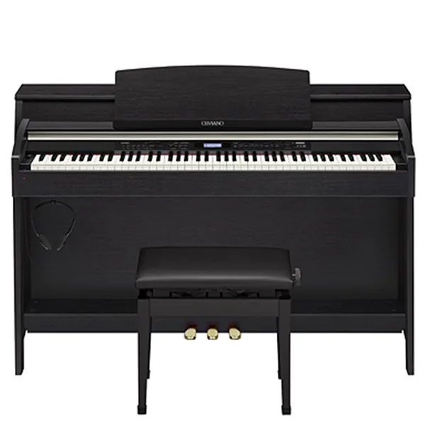 Music City – Tổng Kho Piano, Guitar, Organ | Dịch Vụ Giáo Dục Âm Nhạc