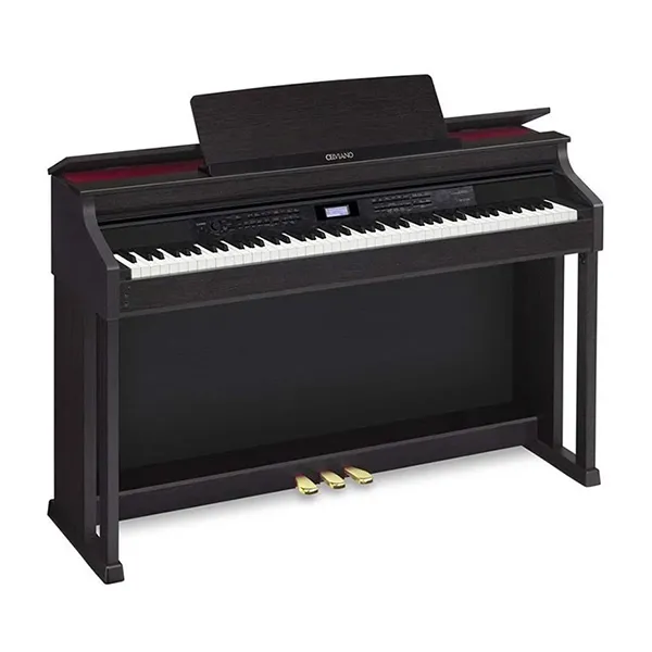 Music City – Tổng Kho Piano, Guitar, Organ | Dịch Vụ Giáo Dục Âm Nhạc