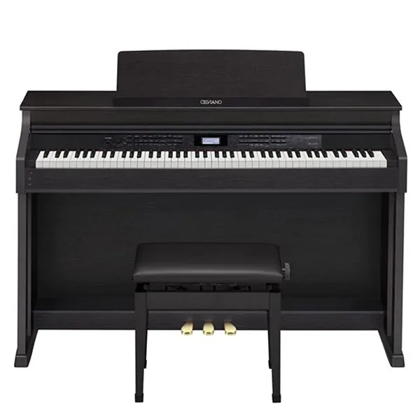 Music City – Tổng Kho Piano, Guitar, Organ | Dịch Vụ Giáo Dục Âm Nhạc