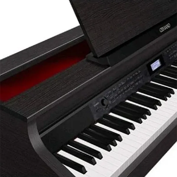 Music City – Tổng Kho Piano, Guitar, Organ | Dịch Vụ Giáo Dục Âm Nhạc