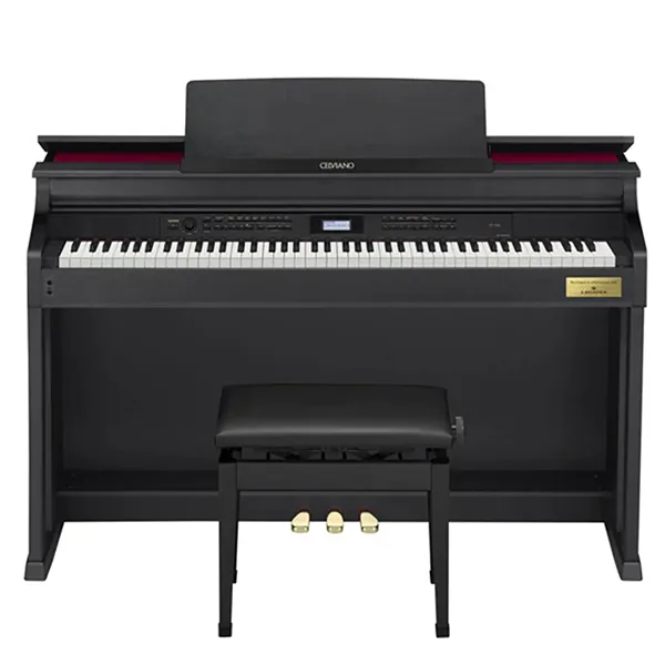 Music City – Tổng Kho Piano, Guitar, Organ | Dịch Vụ Giáo Dục Âm Nhạc