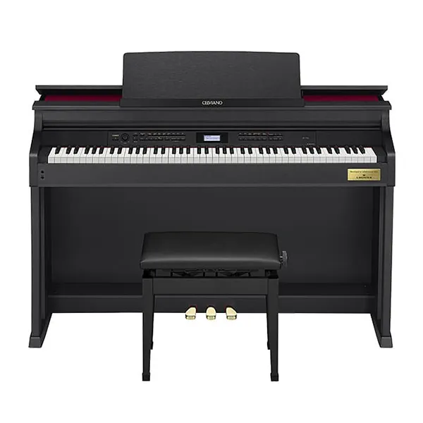 Music City – Tổng Kho Piano, Guitar, Organ | Dịch Vụ Giáo Dục Âm Nhạc