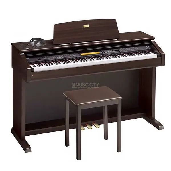 Music City – Tổng Kho Piano, Guitar, Organ | Dịch Vụ Giáo Dục Âm Nhạc