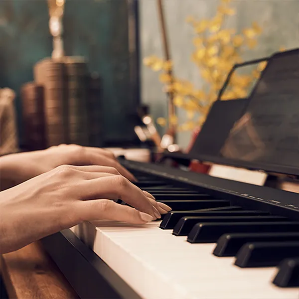 Music City – Tổng Kho Piano, Guitar, Organ | Dịch Vụ Giáo Dục Âm Nhạc