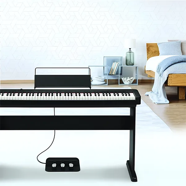 Music City – Tổng Kho Piano, Guitar, Organ | Dịch Vụ Giáo Dục Âm Nhạc