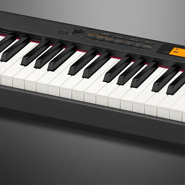 Music City – Tổng Kho Piano, Guitar, Organ | Dịch Vụ Giáo Dục Âm Nhạc