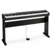 dan-piano-casio-cdp100-musiccity