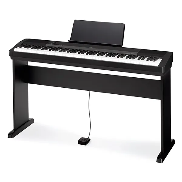 Music City – Tổng Kho Piano, Guitar, Organ | Dịch Vụ Giáo Dục Âm Nhạc