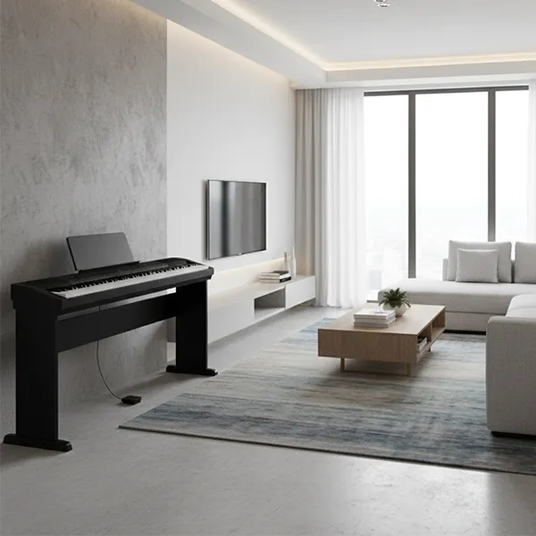Music City – Tổng Kho Piano, Guitar, Organ | Dịch Vụ Giáo Dục Âm Nhạc