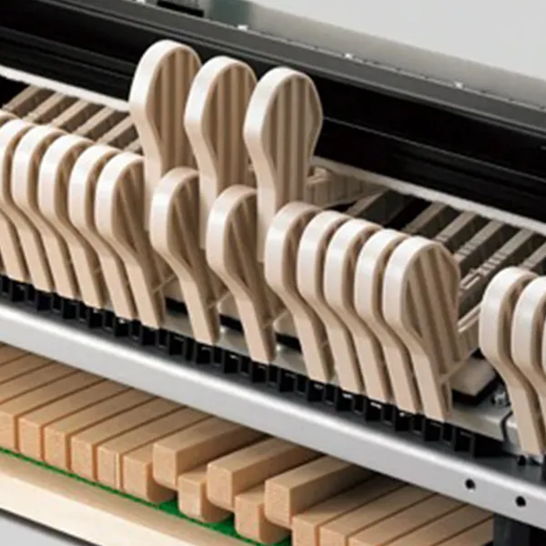 Music City – Tổng Kho Piano, Guitar, Organ | Dịch Vụ Giáo Dục Âm Nhạc