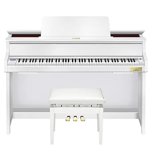Music City – Tổng Kho Piano, Guitar, Organ | Dịch Vụ Giáo Dục Âm Nhạc