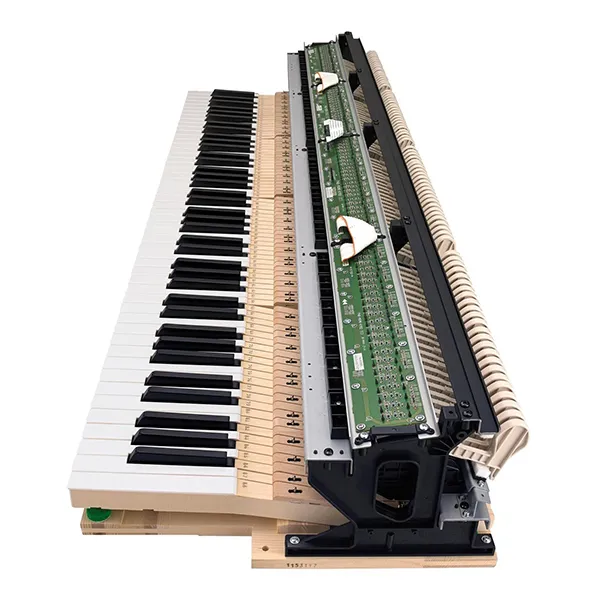 dan-piano-casio-gp400-musiccity
