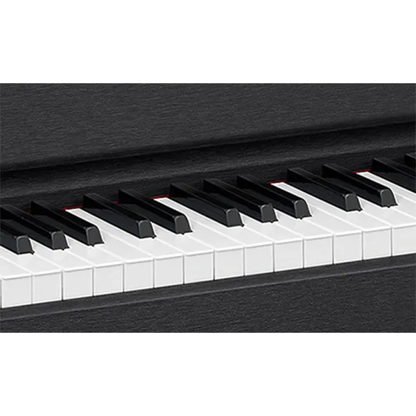 dan-piano-casio-gp510-pe-musiccity