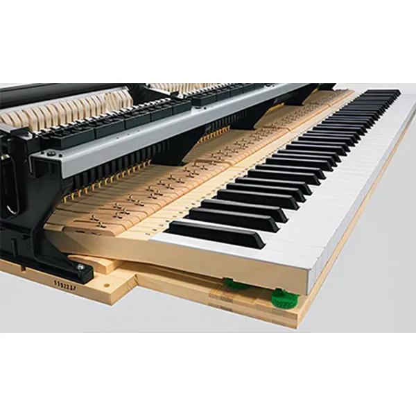 dan-piano-casio-gp510-pe-musiccity