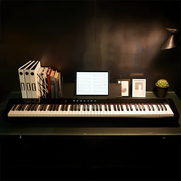 Music City – Tổng Kho Piano, Guitar, Organ | Dịch Vụ Giáo Dục Âm Nhạc