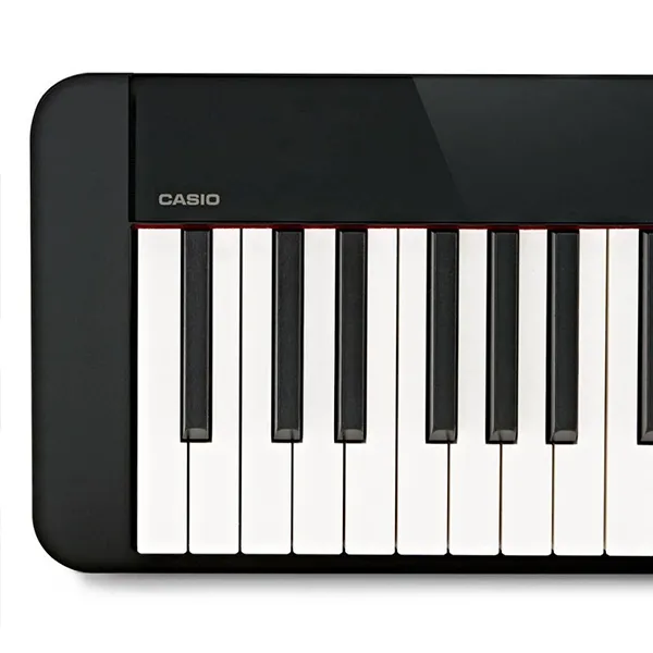 Music City – Tổng Kho Piano, Guitar, Organ | Dịch Vụ Giáo Dục Âm Nhạc