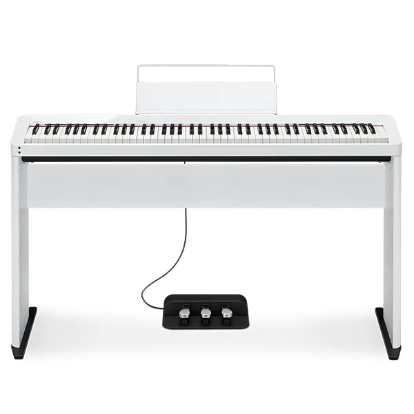 Music City – Tổng Kho Piano, Guitar, Organ | Dịch Vụ Giáo Dục Âm Nhạc