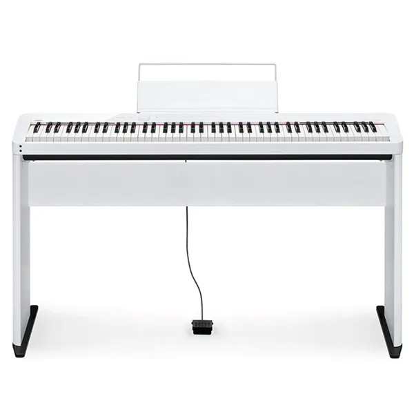 Music City – Tổng Kho Piano, Guitar, Organ | Dịch Vụ Giáo Dục Âm Nhạc