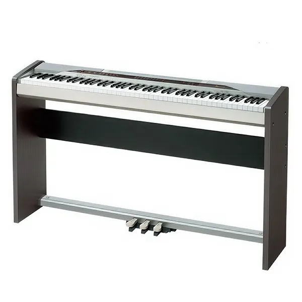 Music City – Tổng Kho Piano, Guitar, Organ | Dịch Vụ Giáo Dục Âm Nhạc