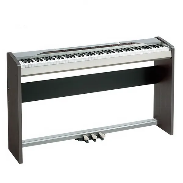 Music City – Tổng Kho Piano, Guitar, Organ | Dịch Vụ Giáo Dục Âm Nhạc