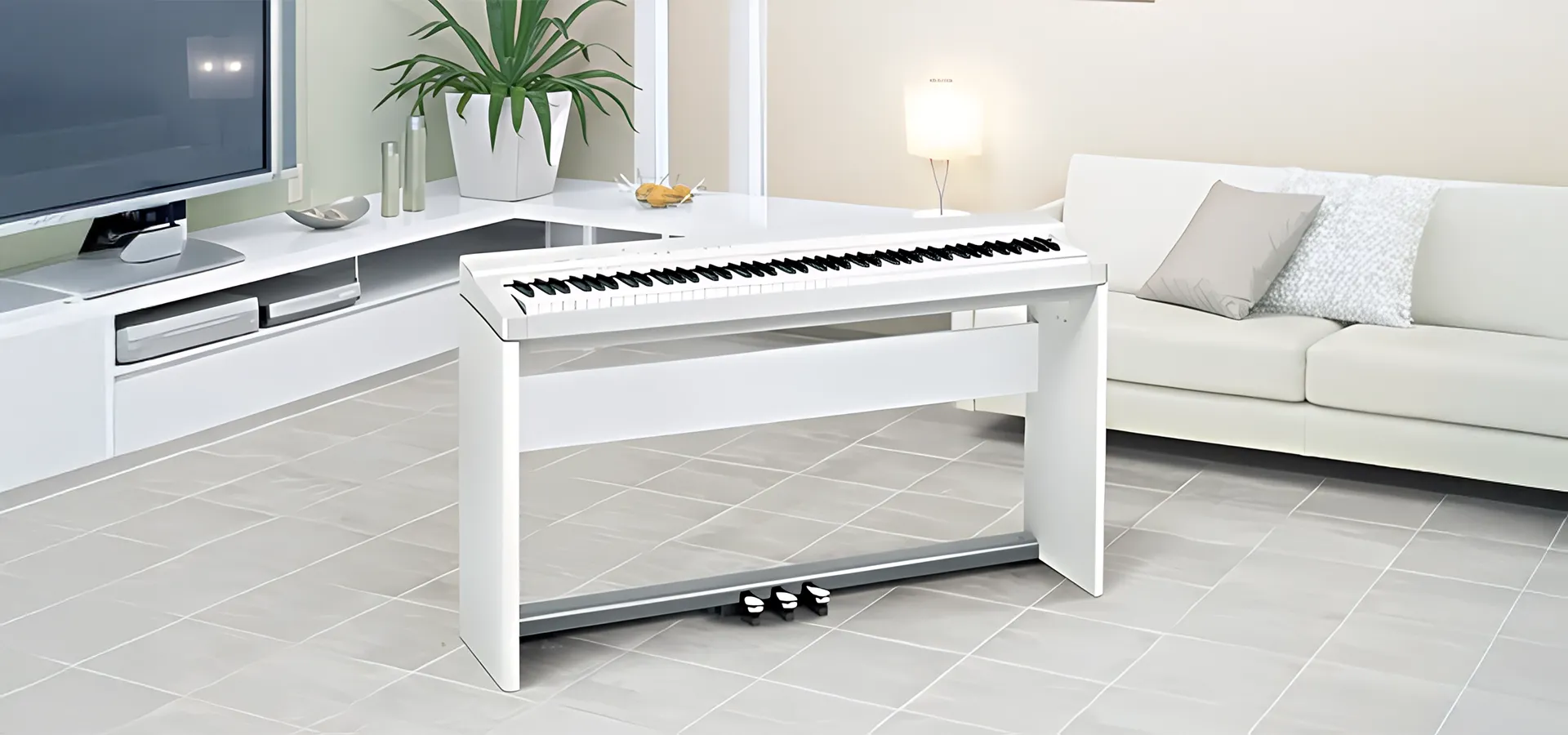 Music City – Tổng Kho Piano, Guitar, Organ | Dịch Vụ Giáo Dục Âm Nhạc