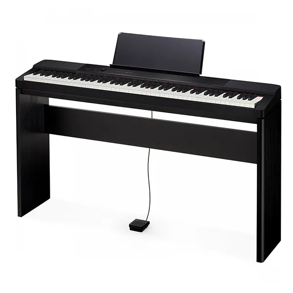 Music City – Tổng Kho Piano, Guitar, Organ | Dịch Vụ Giáo Dục Âm Nhạc